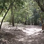 L'echappee Mandreenne Le Calme Entre Et Foret