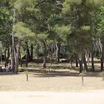 L'echappee Mandreenne Le Calme Entre Et Foret