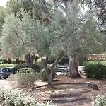 L'echappee Mandreenne Le Calme Entre Et Foret