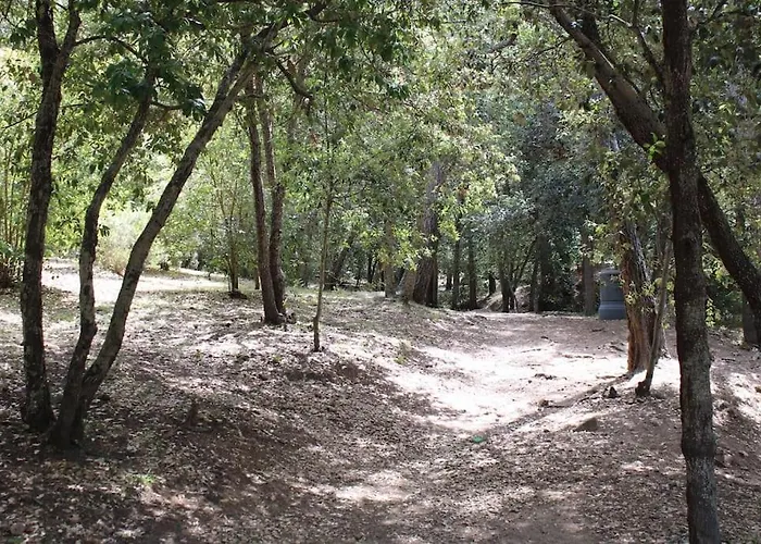 L'echappee Mandreenne Le Calme Entre Et Foret