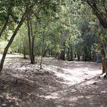 L'echappée Mandréenne Le Calme Entre Et Forêt