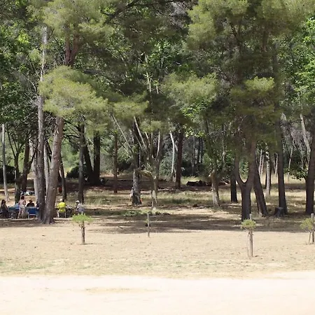 L'echappee Mandreenne Le Calme Entre Et Foret