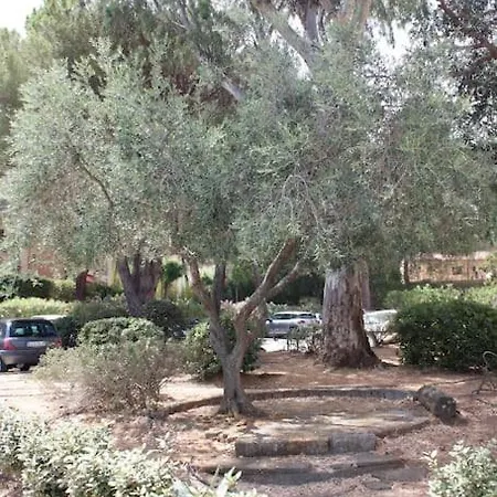 L'echappee Mandreenne Le Calme Entre Et Foret