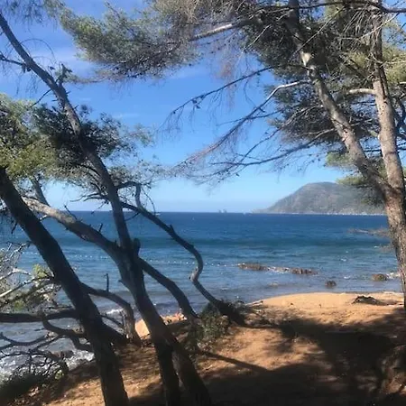 L'echappee Mandreenne Le Calme Entre Et Foret 公寓 滨海圣芒德里耶